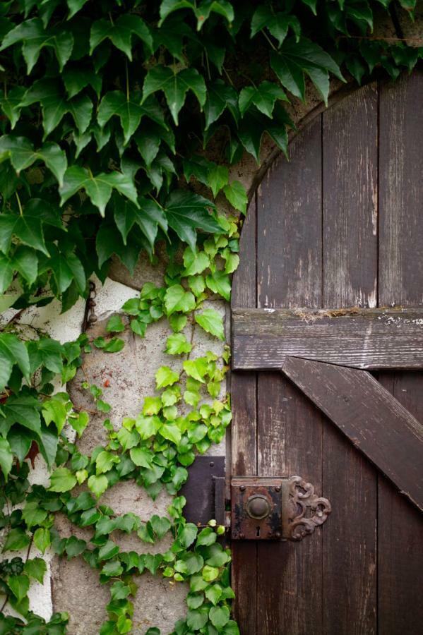 Obere Muehle - Scheunenwohnung Mitten Im Gruenen Baunach Exterior foto